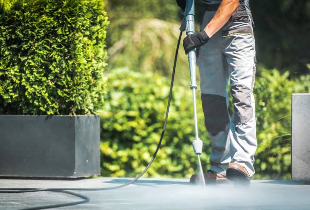 Best Driveway Pressure Washing  in Nedrow, NY