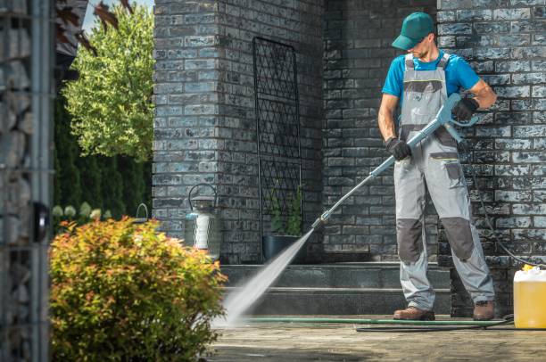 Best Dumpster Area Cleaning  in Nedrow, NY